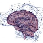 Neurobiologia interpersonale e attaccamento