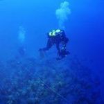 Archeologia, recuperate a largo di Ustica anfore di nave romana