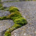 Obiettivo zero consumo di suolo: “Entro un anno un ddl nazionale”