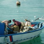 Europarlamento, 6,1 mld per pesca sostenibile e per pescatori