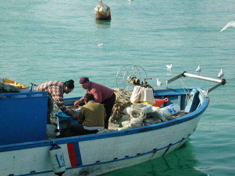 Europarlamento, 6,1 mld per pesca sostenibile e per pescatori