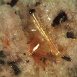 Il pericolo delle rocce “amiantifere”, il caso Biancavilla fa scuola a Roma