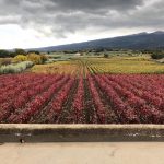 Equinozio d’autunno 2022: data, ora, cosa c’è da sapere