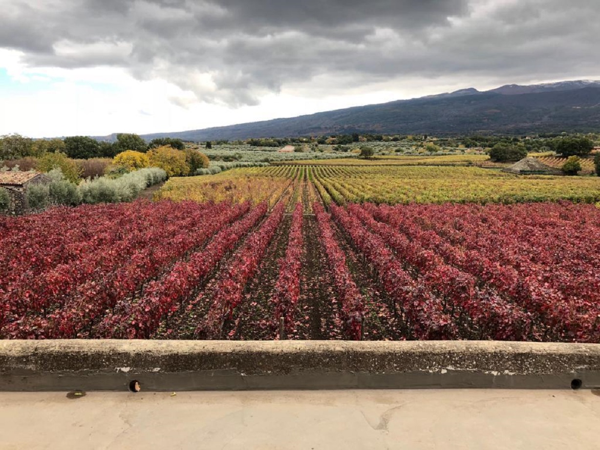 Equinozio d’autunno 2022: data, ora, cosa c’è da sapere