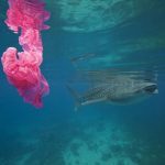 Non bastavano le discariche a cielo aperto, record Sicilia anche per quelle sottomarine