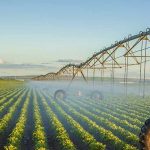 Consorzi di bonifica, undici buchi nell’acqua, canoni irrigui alle stelle e un pieno di disservizi