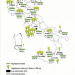 Verde, bastava applicare la legge Rutelli, un albero in città per ogni bambino nato