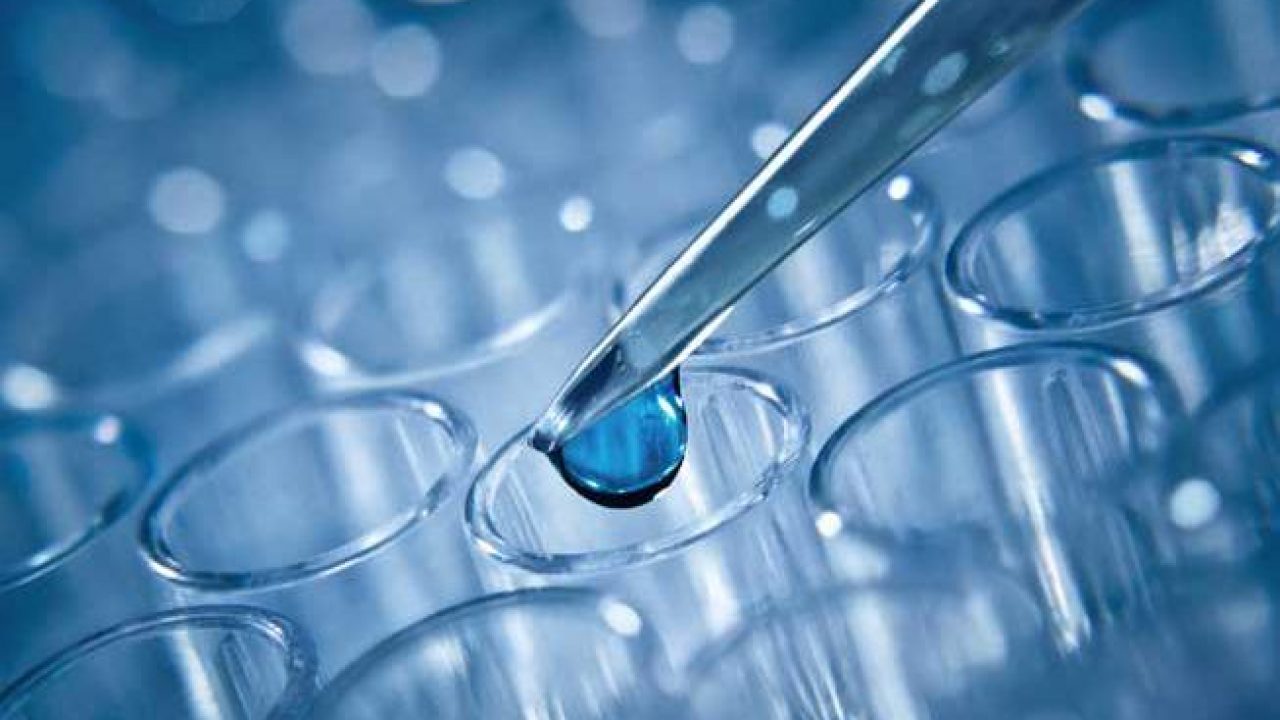 Ricerca non orientata contro il cancro