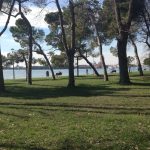 Foreste urbane e periurbane a Siracusa grazie ai fondi del decreto sul clima