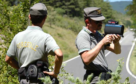 Costituito comitato paritetico regionale del contratto dei forestali