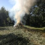 Ridurre le criticità dello smaltimento illegale dei residui delle coltivazioni