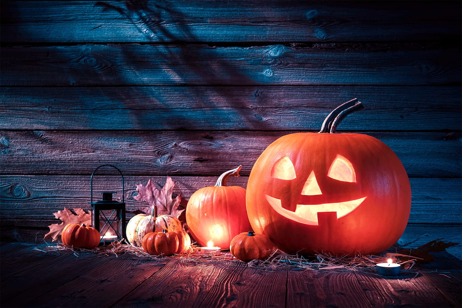 Oggi la notte di Halloween festa contro la sedentarietà