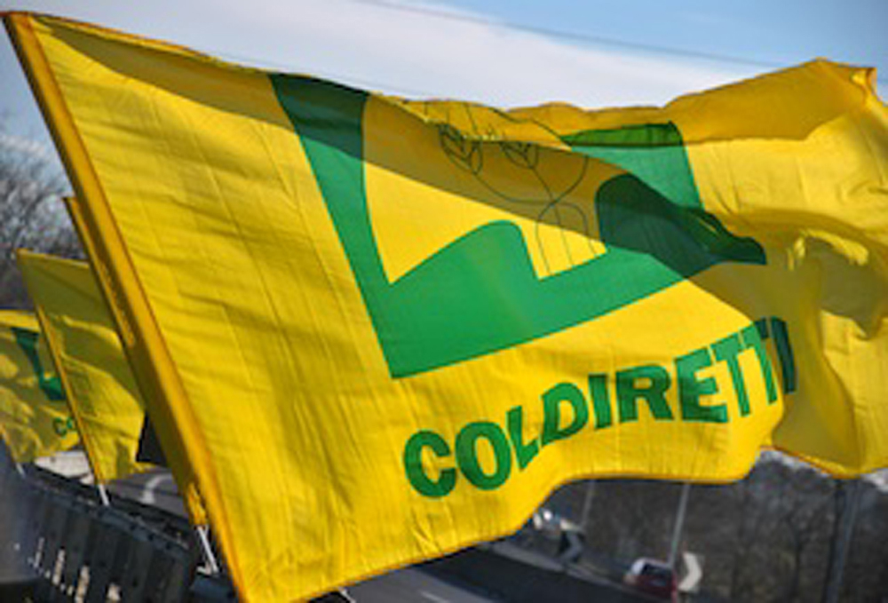 Campagna Amica contro il cibo sintetico: petizione promossa in tutta Italia