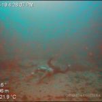 Migranti, Lamorgese alla Lega Nord, “Nessuna invasione”