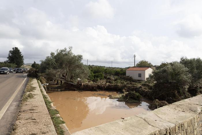 Galleria foto 'Maltempo, in Sicilia si contano danni, mercoledì riunione dedicata della Giunta regionale' - foto 1