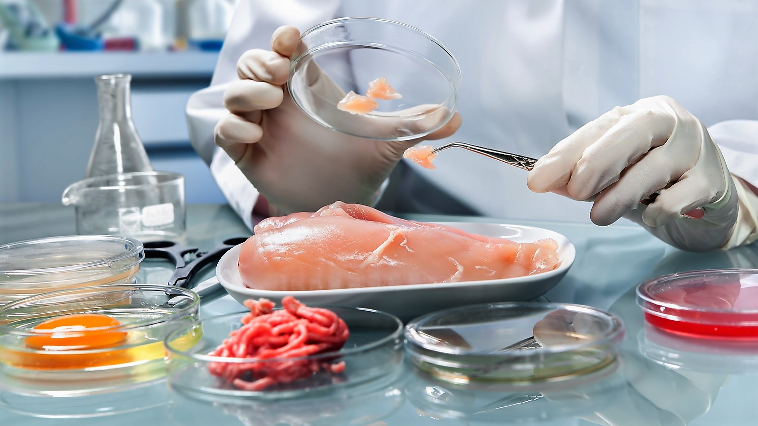 Imprese alimentari, Sicilia prima in Italia con 7.468 aziende