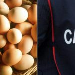 Nas sequestrano trentaduemila uova irregolari