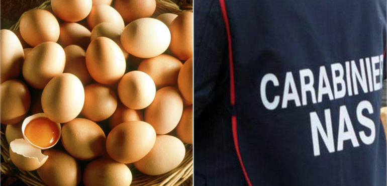Nas sequestrano trentaduemila uova irregolari