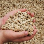 Energia (sostenibile) dalla biomassa legnosa, in Sicilia una filiera che è rimasta “segata”