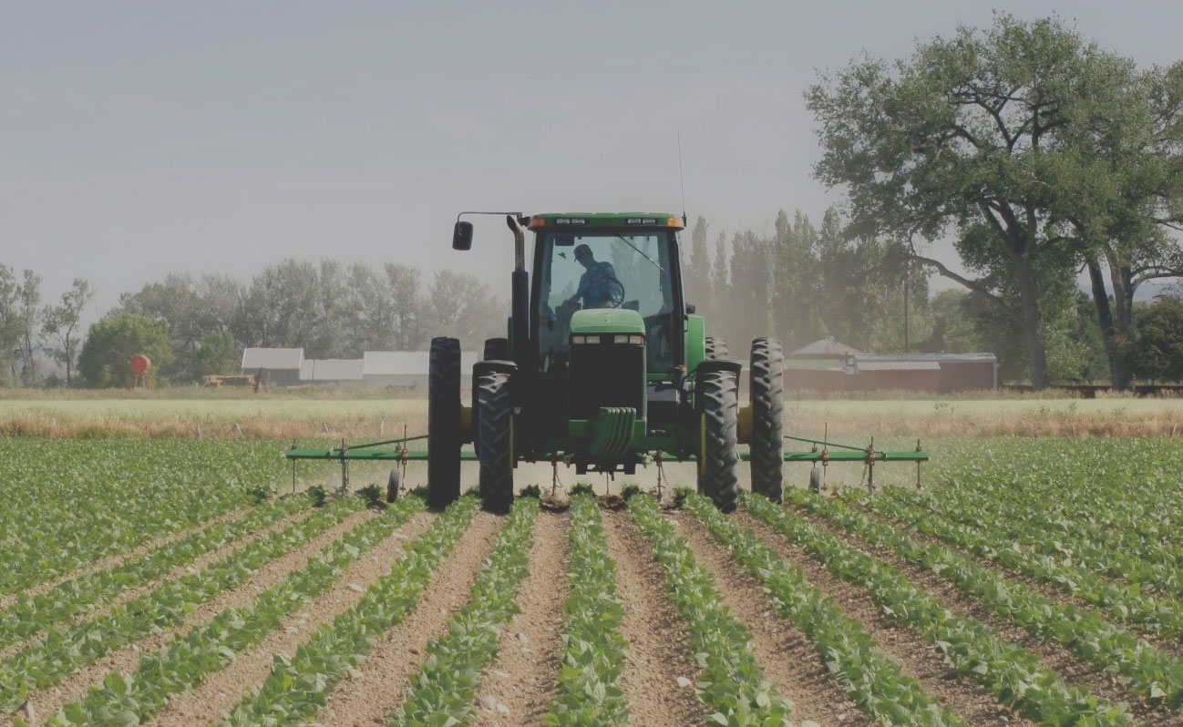 Agricoltura in Sicilia, fondo garanzia Pmi, dal 16 marzo via alle domande