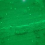 All’Unict laboratorio in grado di estrarre le nanoplastiche