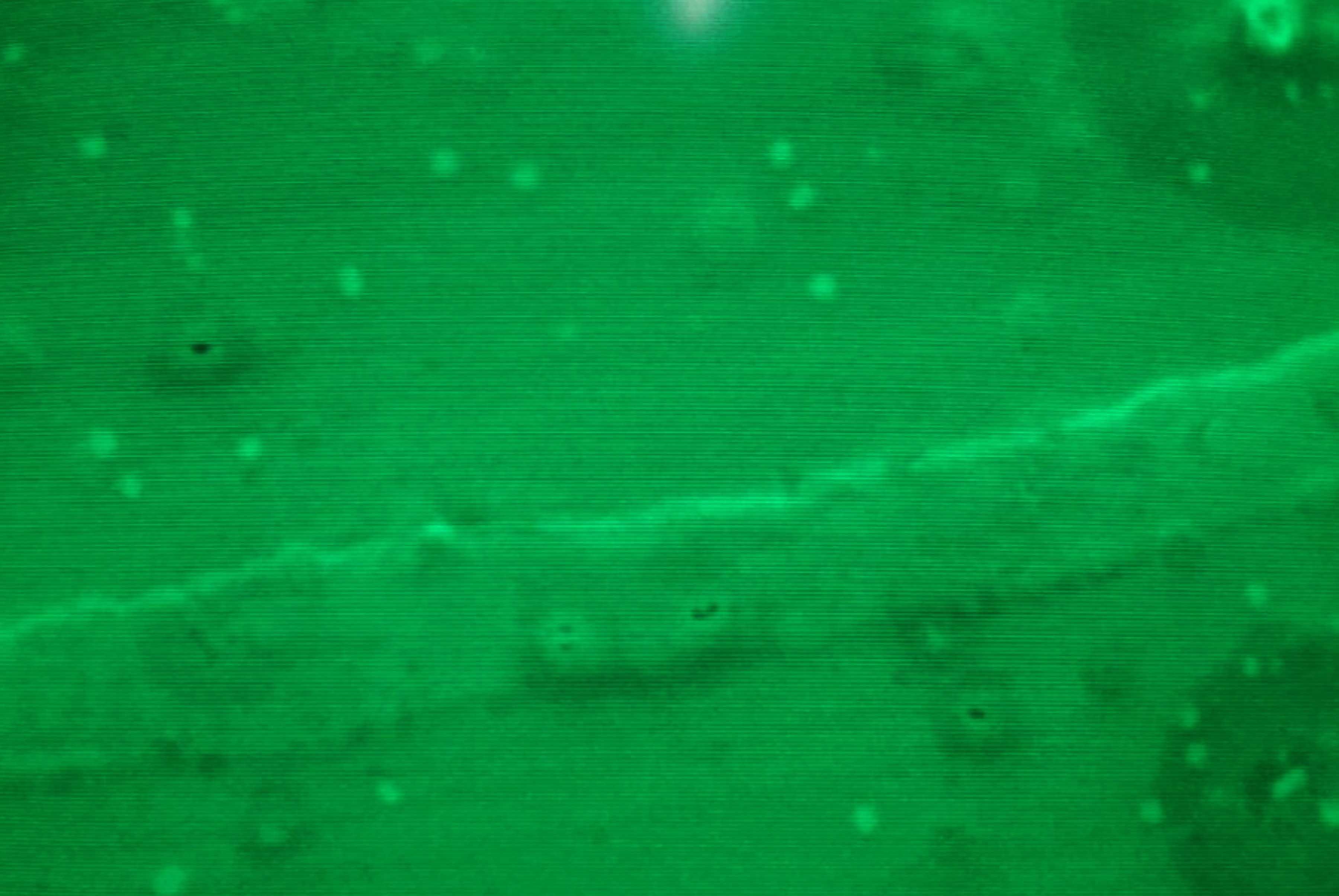 All’Unict laboratorio in grado di estrarre le nanoplastiche