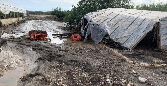 Maltempo, danni alle imprese agricole, Ipa pronta a ricevere richieste di verifica