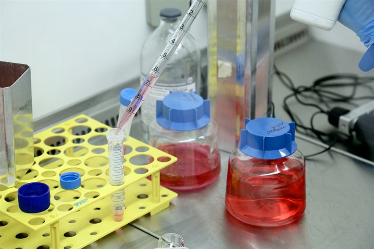 Alleanza tra diverse figure professionali per contrastare i tumori neuroendocrini