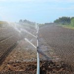 Partinico, un’estate di campagne assetate. Ora si rilancino gli investimenti