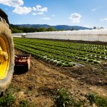 Piccoli invasi aziendali in Sicilia, ecco come ottenere i fondi