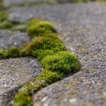 Consumo di suolo lungo i fiumi, un grande rischio per il territorio