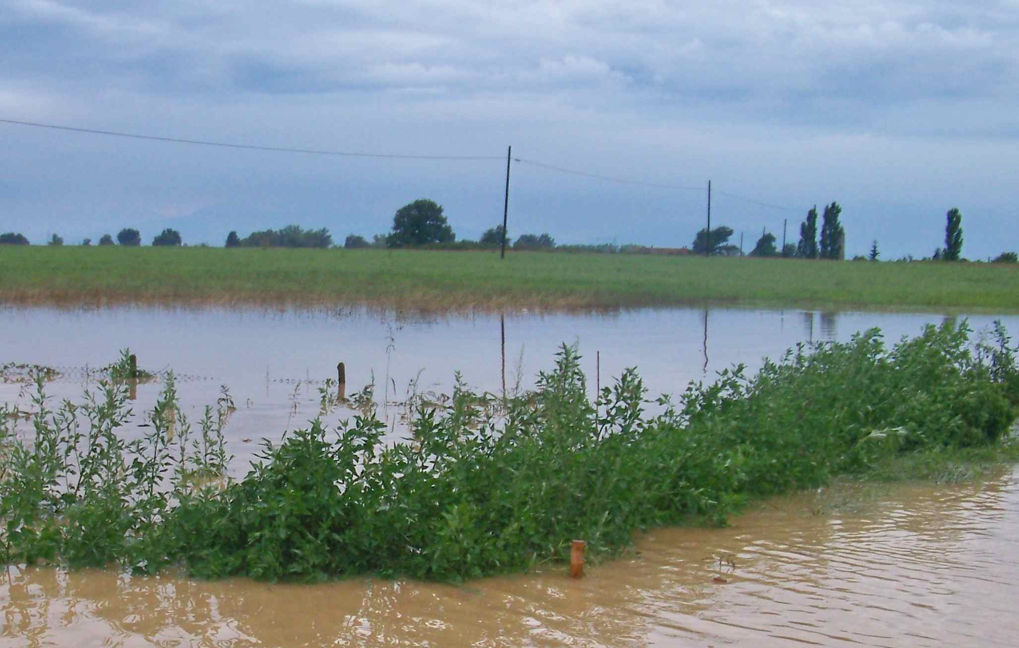 Maltempo in Italia, scompare 1/4 delle campagne