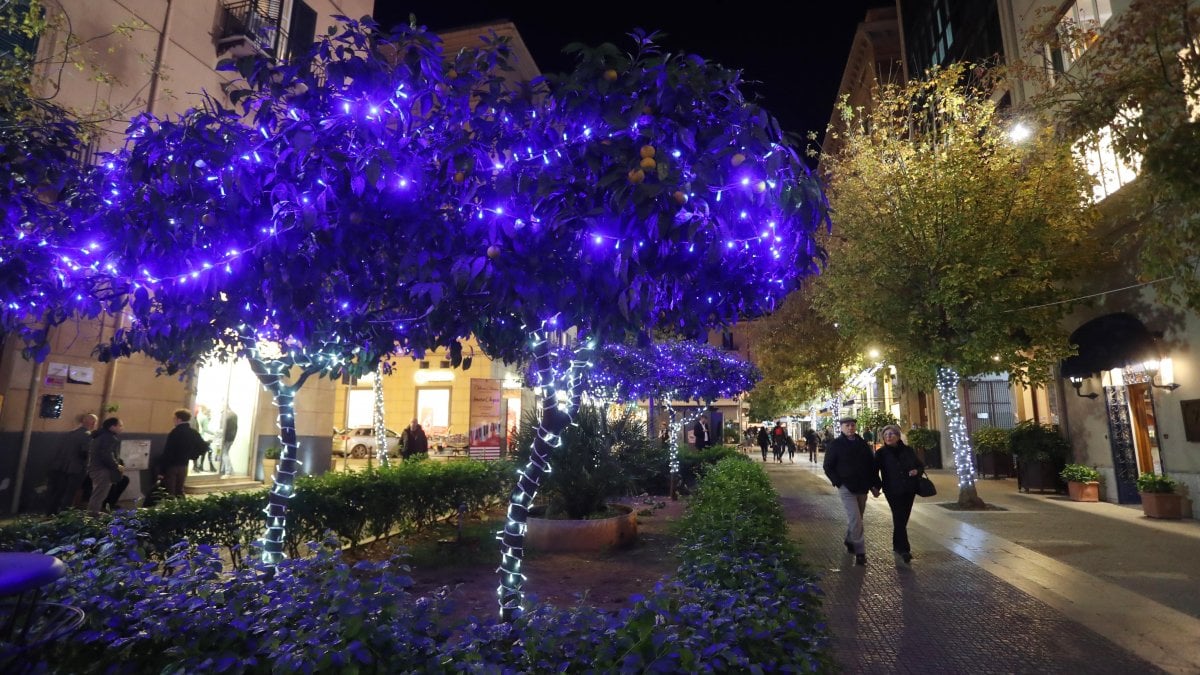 Eventi e concerti natalizi, il Comune alla ricerca