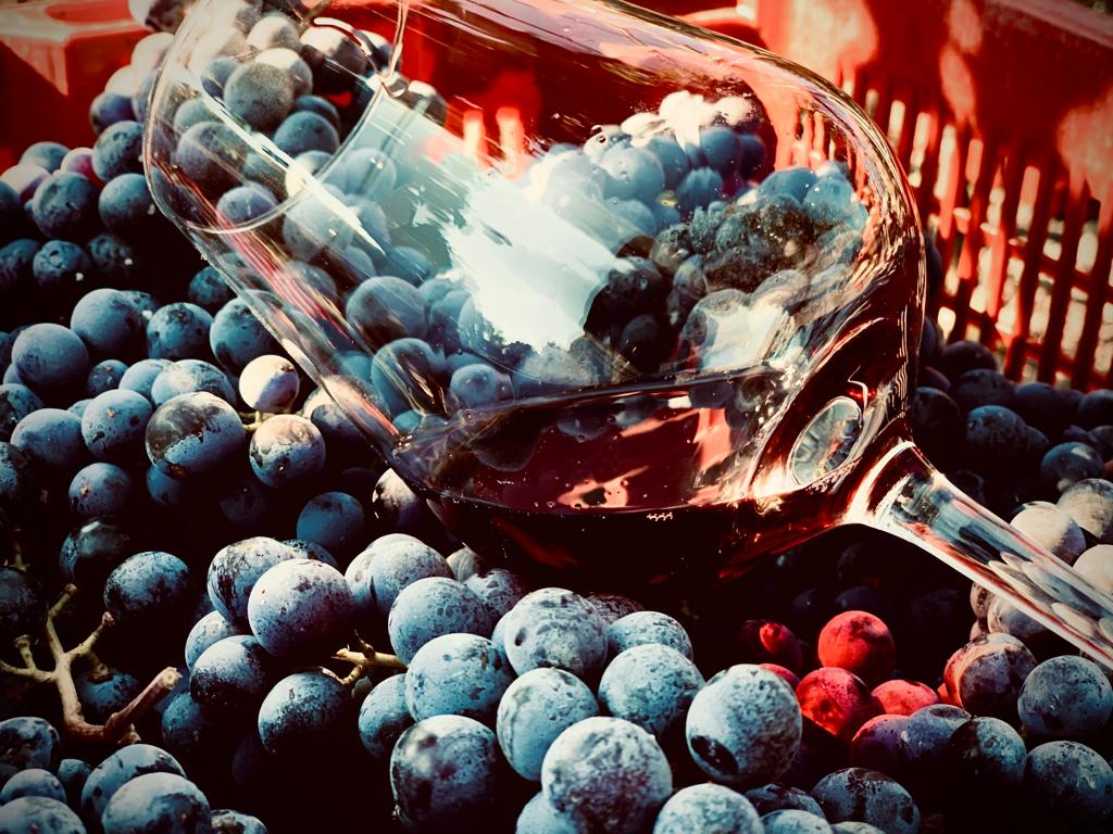 Vini, “Un bellissimo novembre” per l’Etna rosso doc