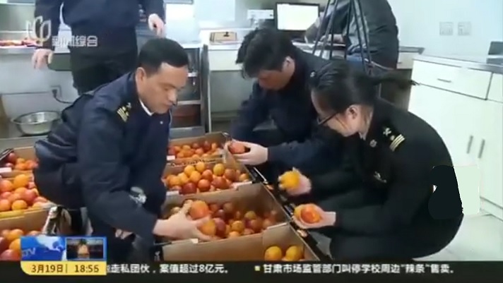 Cina, tarocchi etnei grandi protagonisti a Shangai