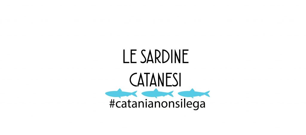 Galleria foto 'Sardine siciliane, un autentico boom sui social media' - foto 11