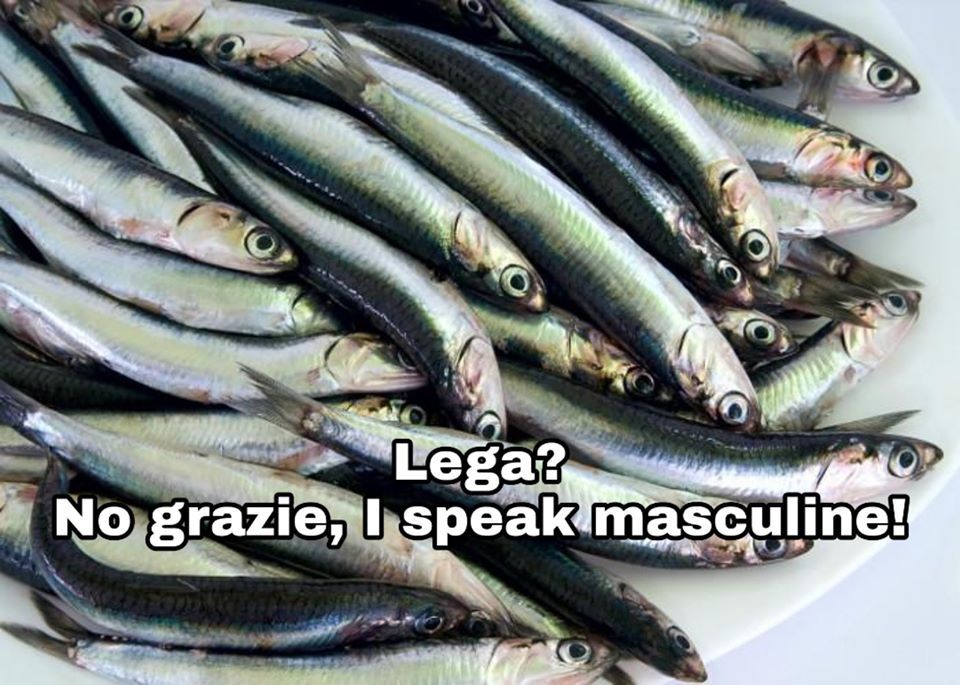 Galleria foto 'Sardine siciliane, un autentico boom sui social media' - foto 10