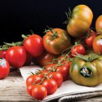 Ue, riforma Dop e Igp vale oltre 19 mld: Italia leader