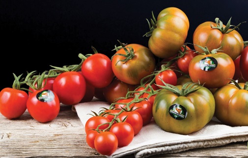 Ue, riforma Dop e Igp vale oltre 19 mld: Italia leader