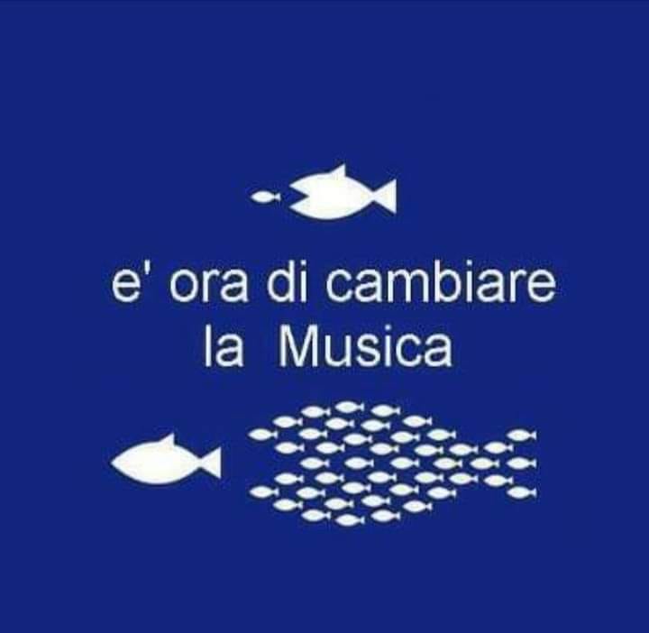 Galleria foto 'Sardine siciliane, un autentico boom sui social media' - foto 9