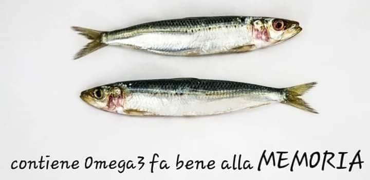 Galleria foto 'Sardine siciliane, un autentico boom sui social media' - foto 8