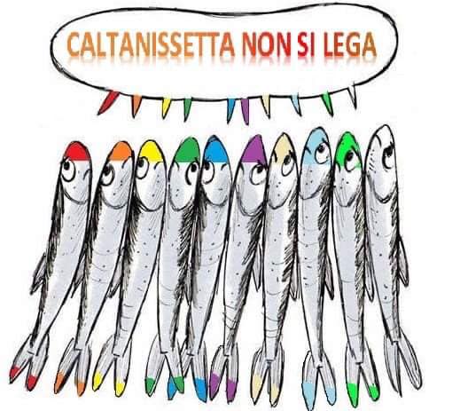 Galleria foto 'Sardine siciliane, un autentico boom sui social media' - foto 7