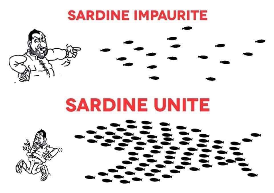 Galleria foto 'Sardine siciliane, un autentico boom sui social media' - foto 6