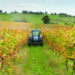 Imprese agricole, 6 su 10 non hanno dipendenti