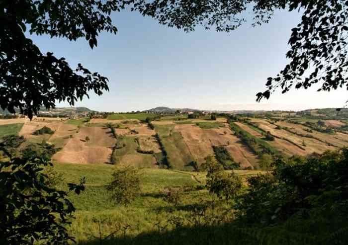 Desertificazione campagne, Zfm possibile antidoto