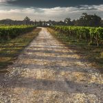 Gal Terra Barocca, due bandi per nuovi investimenti