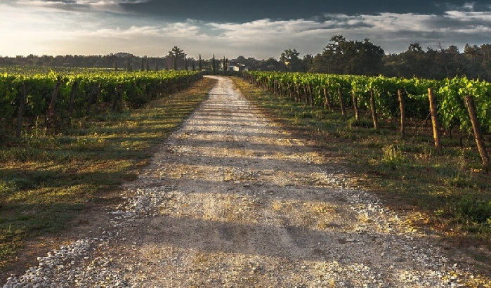 Gal Terra Barocca, due bandi per nuovi investimenti