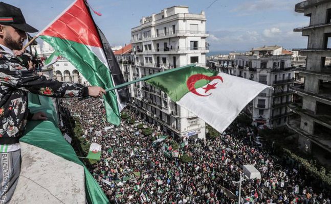 Algeria, giovedì elezioni per il nuovo capo di Stato Algeria, giovedì elezioni per il nuovo capo di Stato
