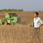 Sicilia, boom di nuove aziende agricole nel 2019