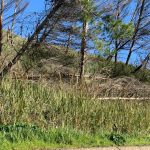 Vento molto forte e disagi nell’ennese nel weekend